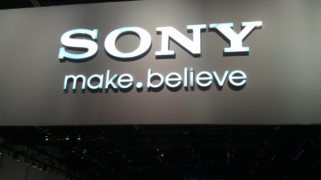 Sony выступает за права игроков
